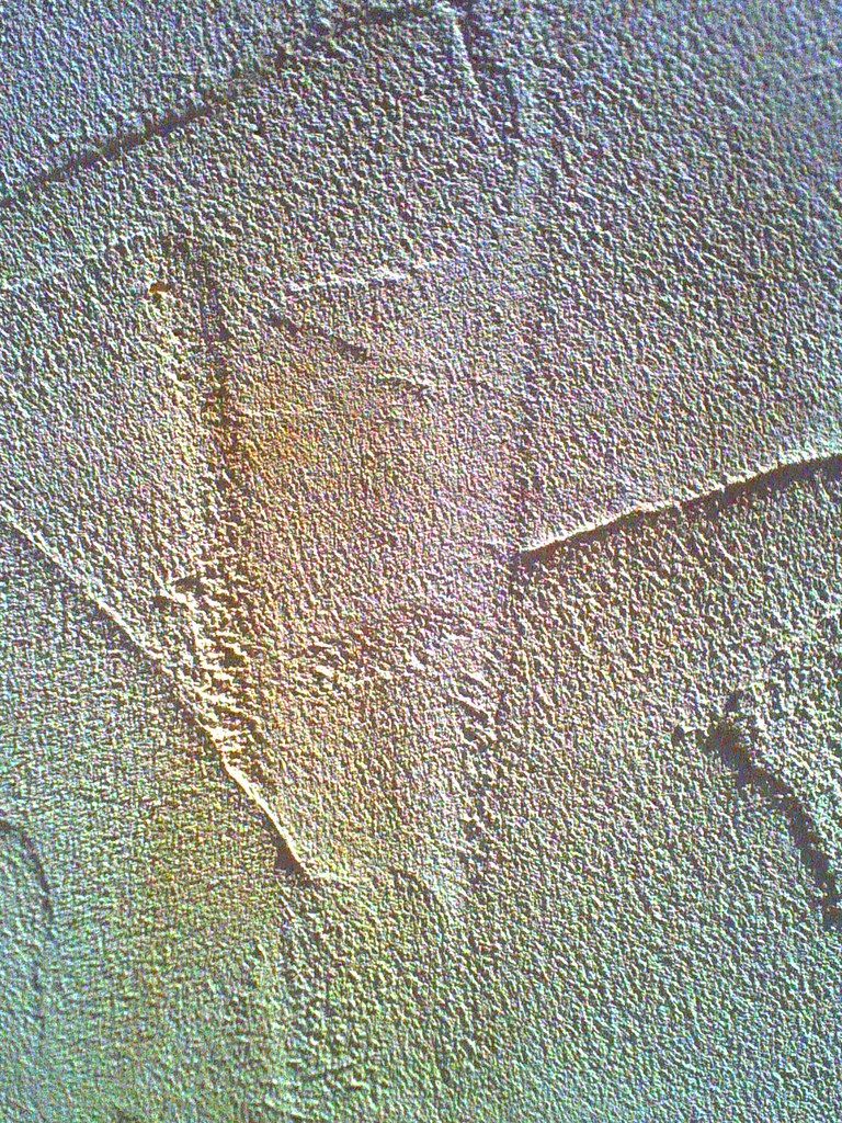 maestrear las paredes