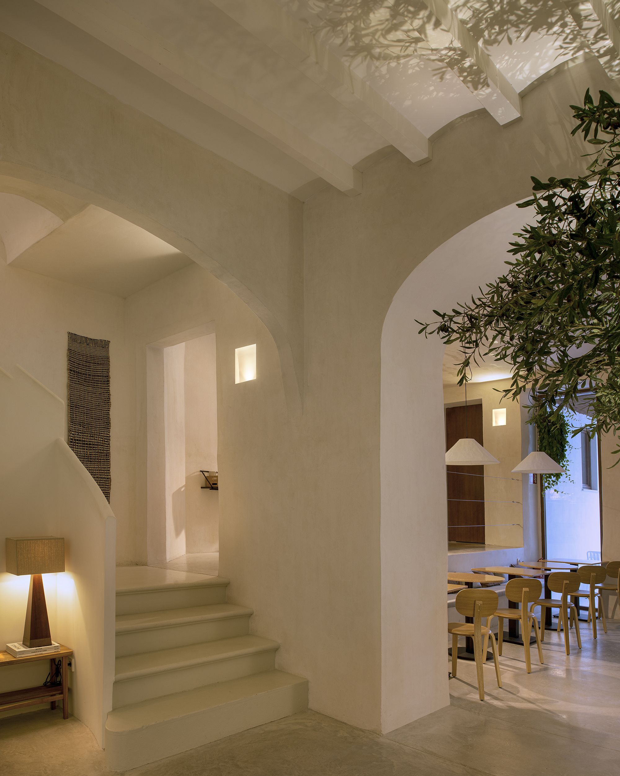 El techo en la reforma